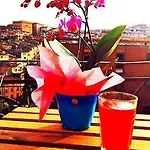 Le Lupe Siena