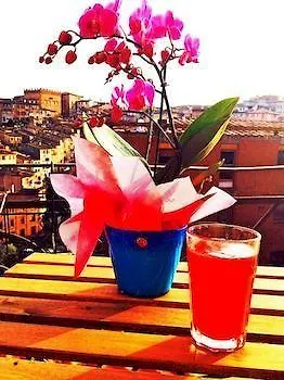 Le Lupe Siena