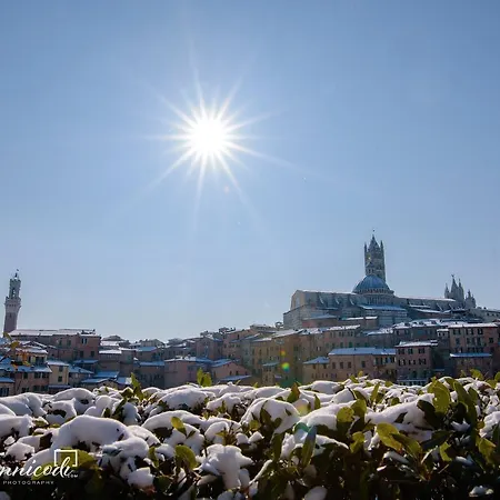 Le Lupe Bed & Breakfast