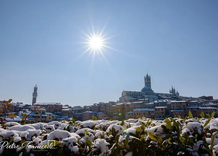 Le Lupe Bed and breakfast